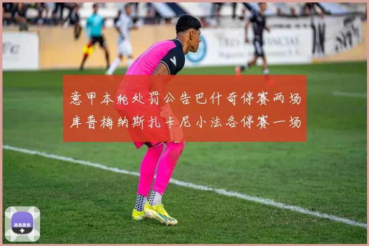 意甲本轮处罚公告巴什奇停赛两场库普梅纳斯扎卡尼小法各停赛一场