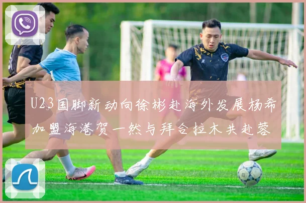 U23国脚新动向徐彬赴海外发展杨希加盟海港贺一然与拜合拉木共赴蓉城